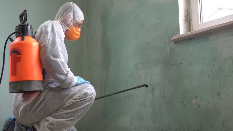 Best Asbestos and Lead Testing During Mold Inspection  in Whetstone, AZ